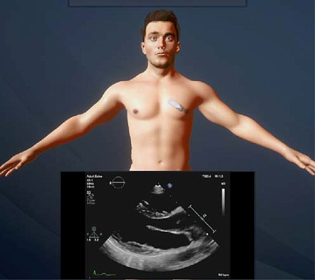 Виртуальный учебный комплекс «Интерактивный трехмерный атлас анатомии человека»‎ PL-Anatomy 4.0