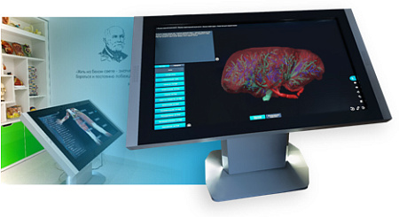 Виртуальный лабораторный комплекс «Анатомическое строение сердца и демонстрация работы»