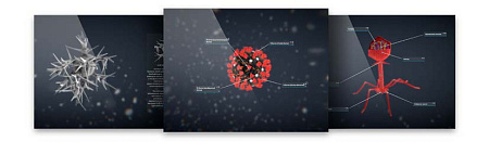 Виртуальный процедурный тренажер «Виртуальная хирургия» Pl-Surgery (уровень базовый)